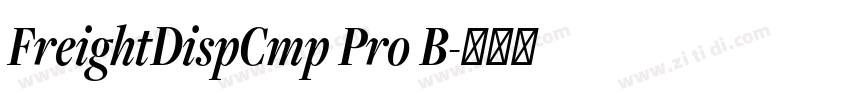 FreightDispCmp Pro B字体转换